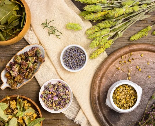 Ingredientes naturales de herbolaria para bienestar sobre mesa de madera en un espacio cálido y natural